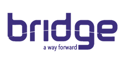Bridge - a way forward